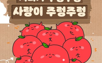 행복사과저금통, 올해는 해와달 어린이집과 함께 했어요! 이미지